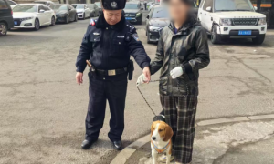 巡逻民警暖心寻犬守护群众财产安全